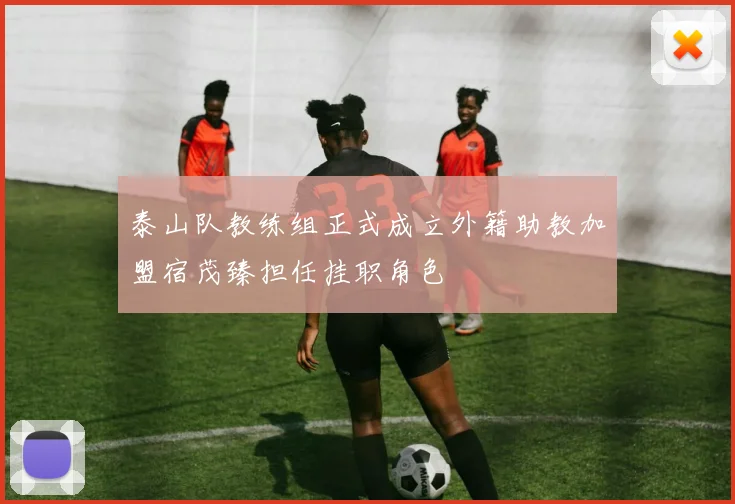 泰山队教练组正式成立外籍助教加盟宿茂臻担任挂职角色