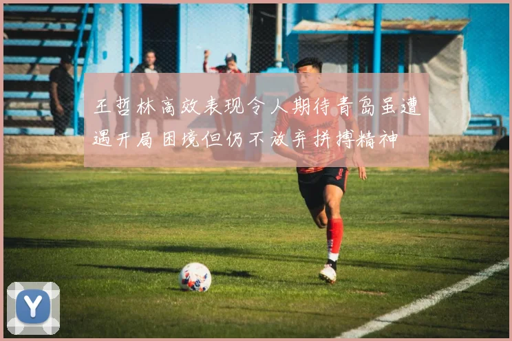 王哲林高效表现令人期待青岛虽遭遇开局困境但仍不放弃拼搏精神